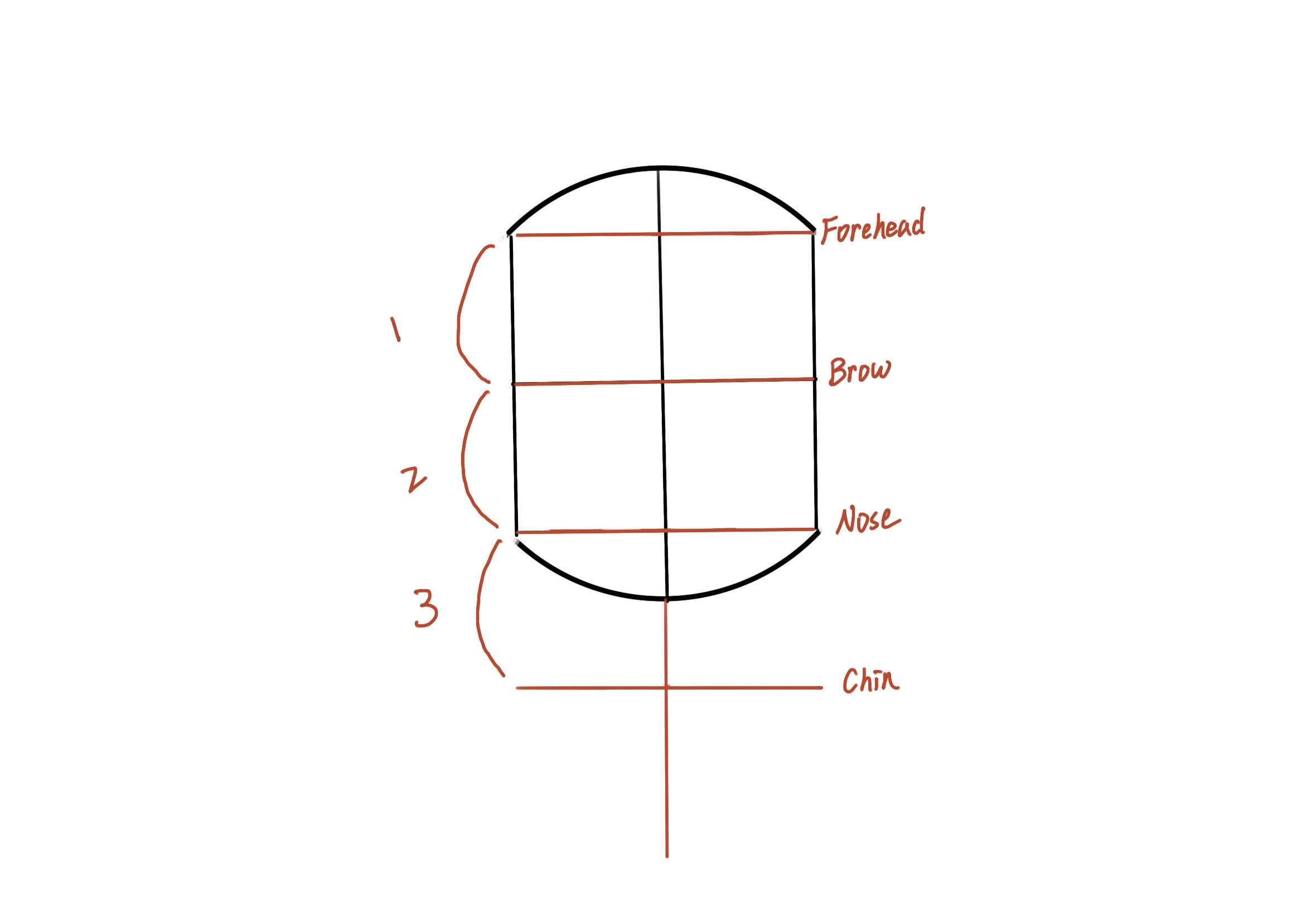 3個步驟教你畫人頭Loomis Method路米斯畫法- 用三等份找出下巴的位置