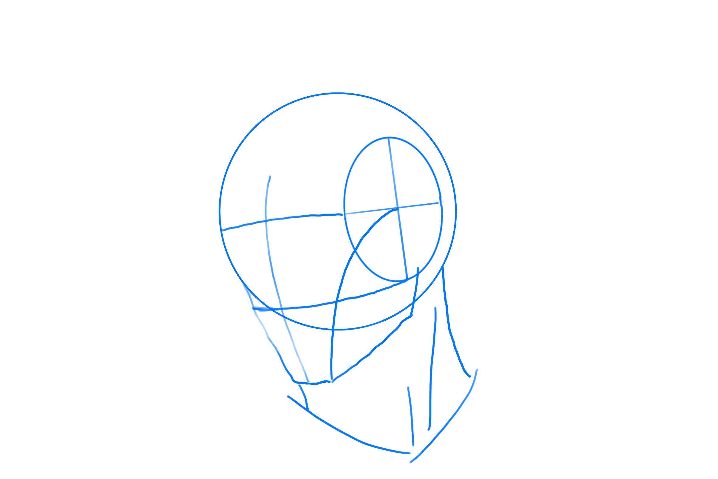 3個步驟教你畫人頭Loomis Method路米斯畫法- 最後修飾輔助線並加上脖子。